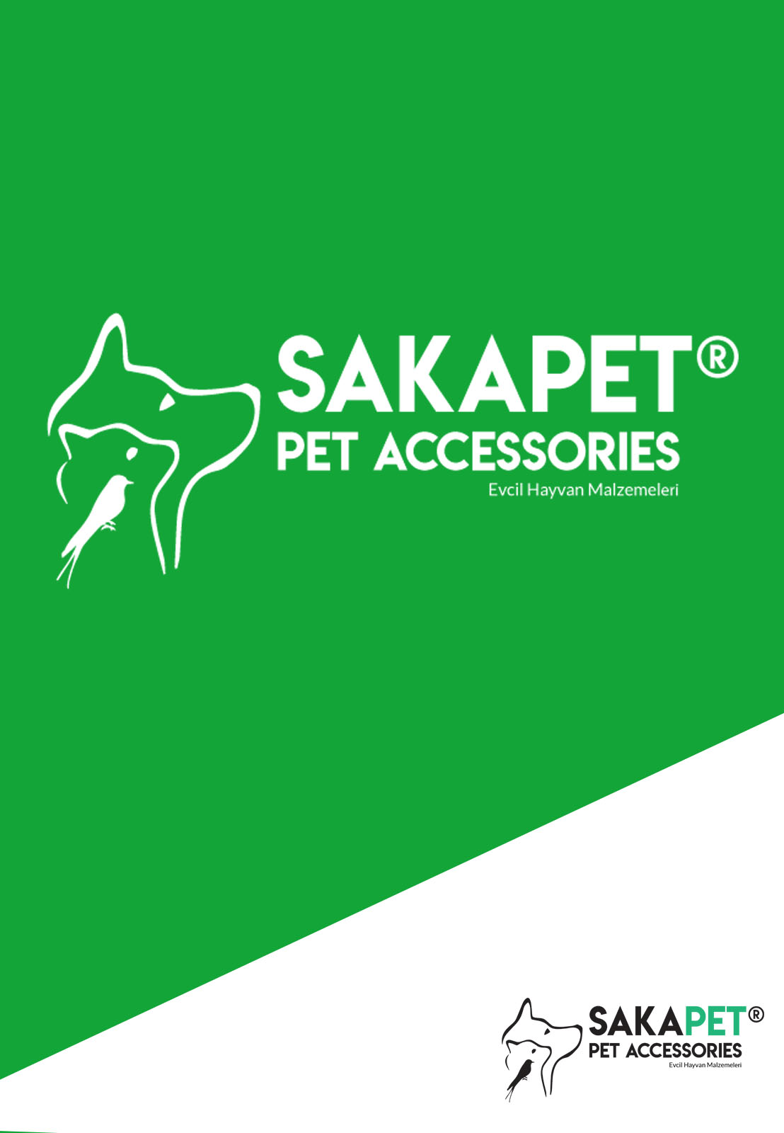 Muhabbet Kuşu Forpus Sevda Oyun Parkuru