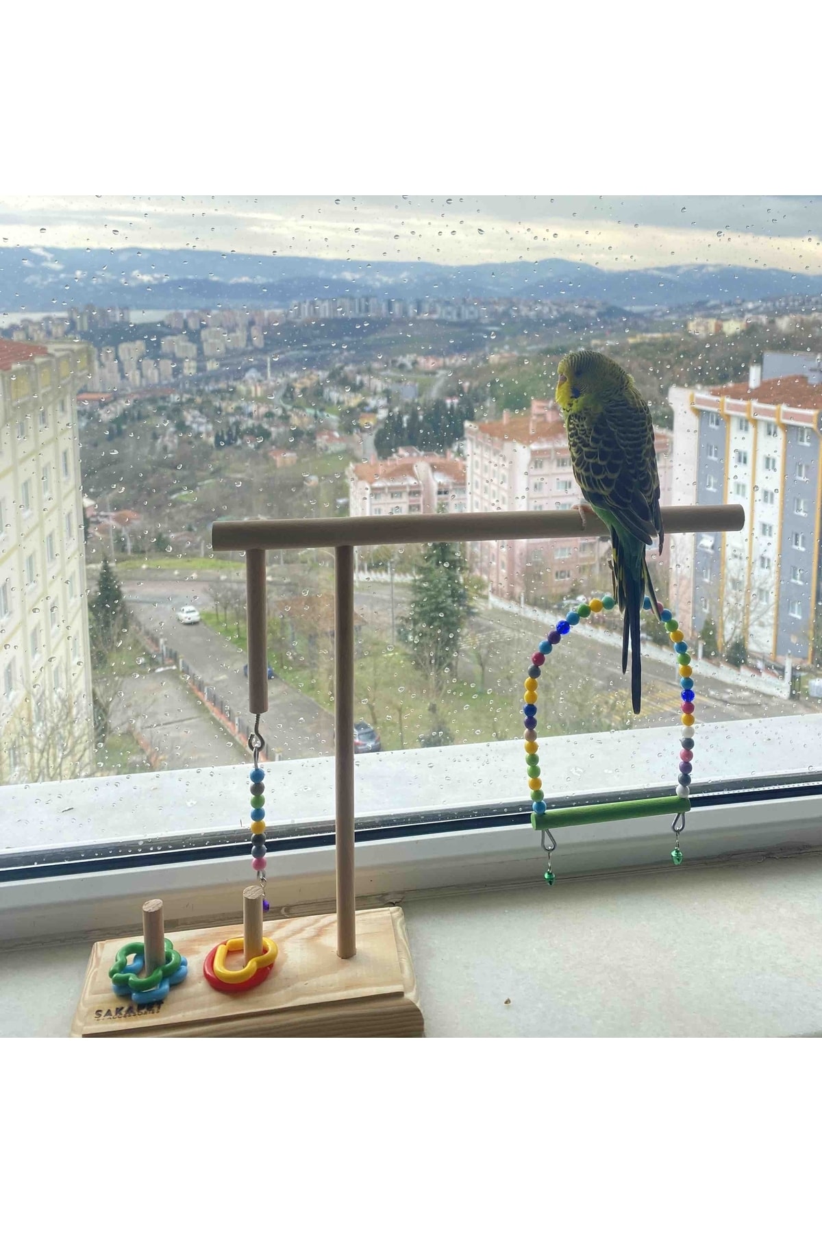 Kuş Zeka Oyunu Ve Eğlence Parkuru Kuş Salıncağı Ve Tüneği